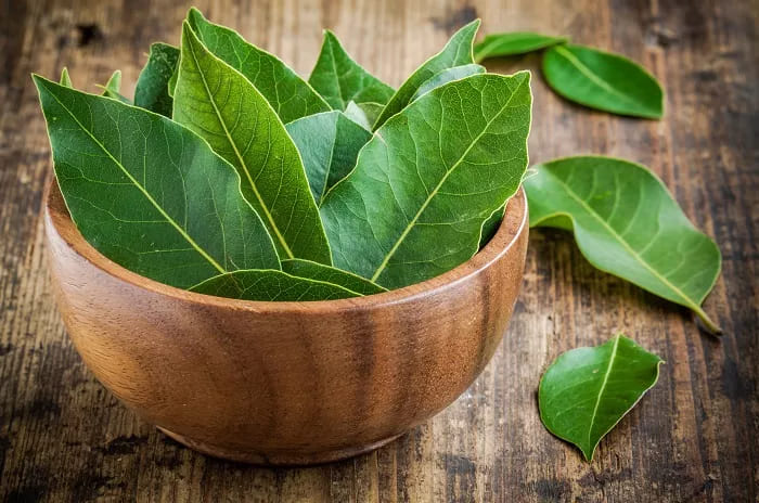 Laurel