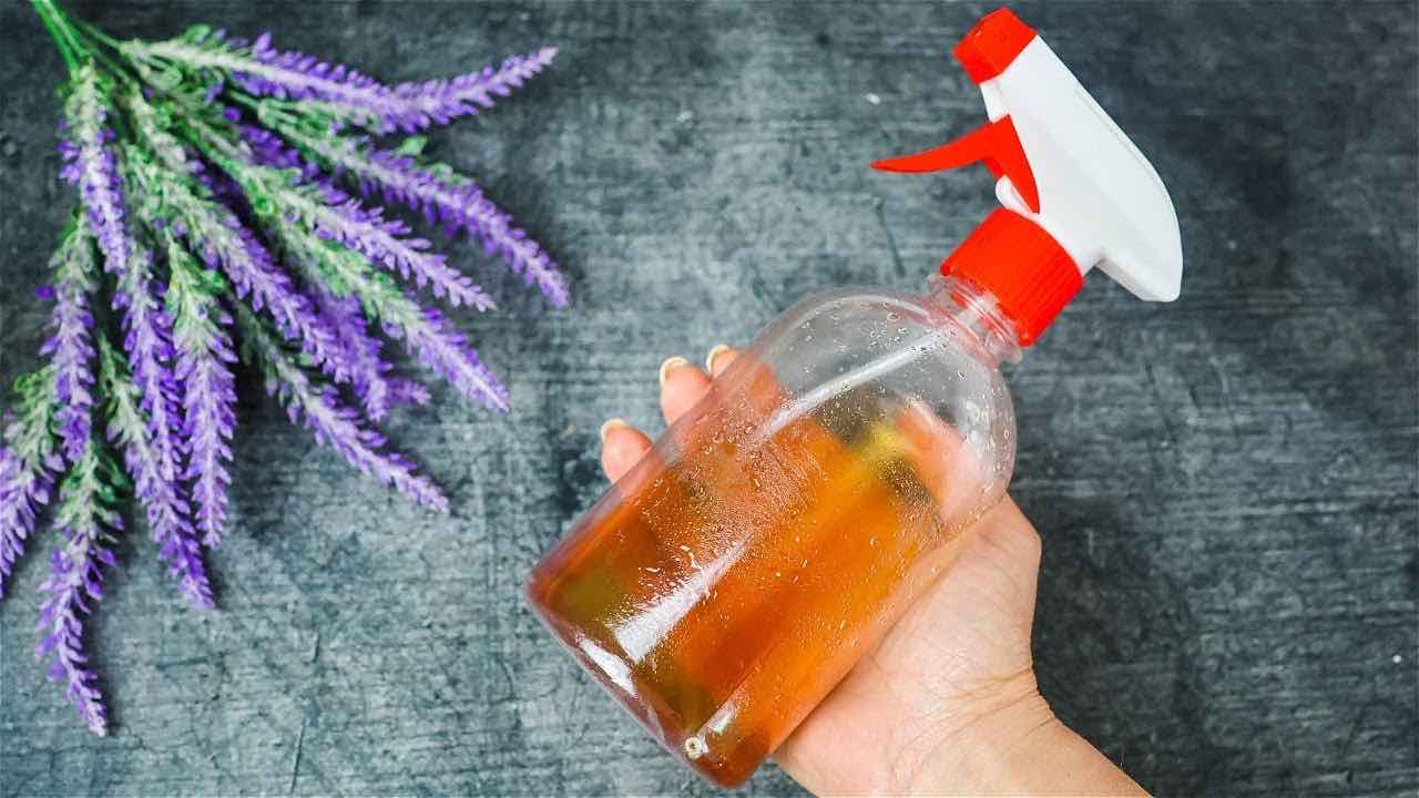 Antizanzare naturale Repelente de mosquitos natural