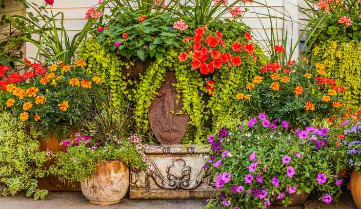 Jardín lleno de flores con este método