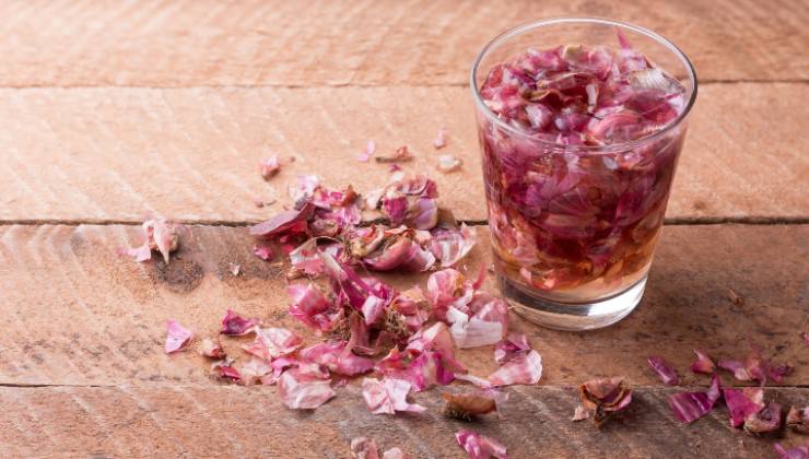 Una tazza di cipolla al mese Una taza de cebolla al mes