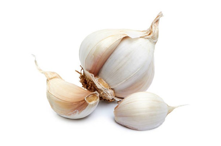 Aglio Ajo