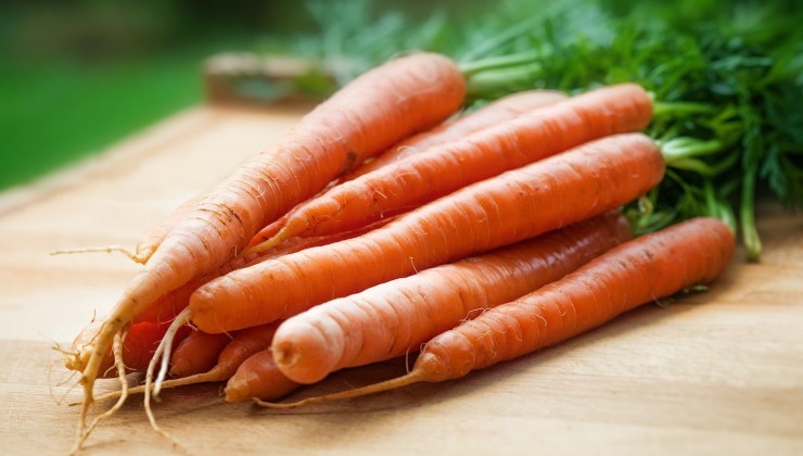 Le proprietà delle carote Las propiedades de las zanahorias.