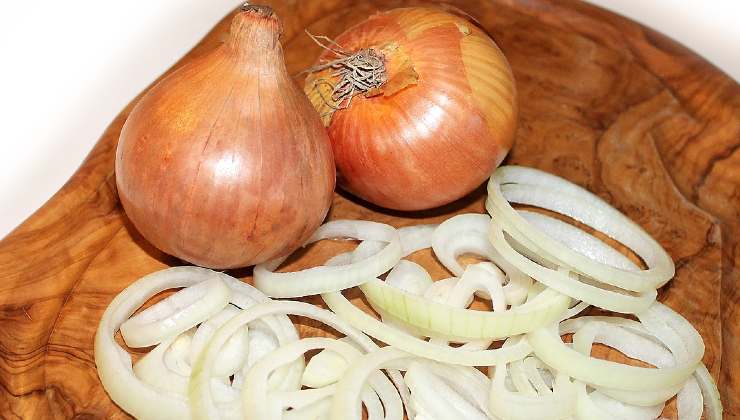 Cipolla rimedio per le piante Remedio de cebolla para plantas
