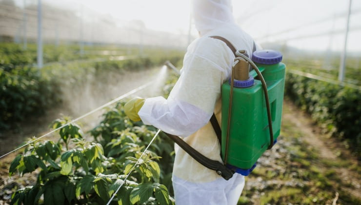 L'uso dei pesticidi nella catena alimentare El uso de plaguicidas en la cadena alimentaria