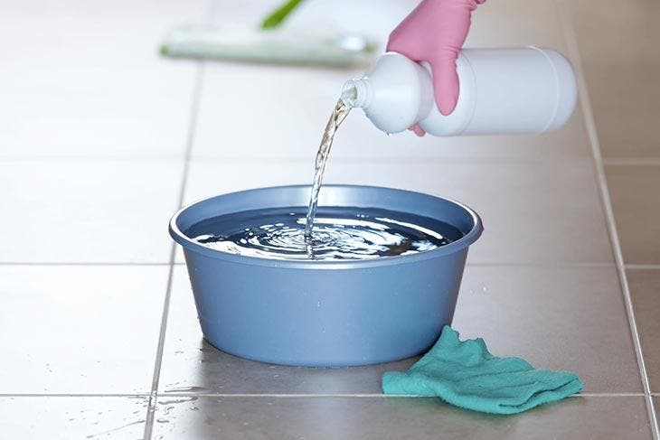Pourquoi faut-il verser de l’eau de Javel sur les fleurs ? L’astuce magique de mon jardinier 3 Blanquear
