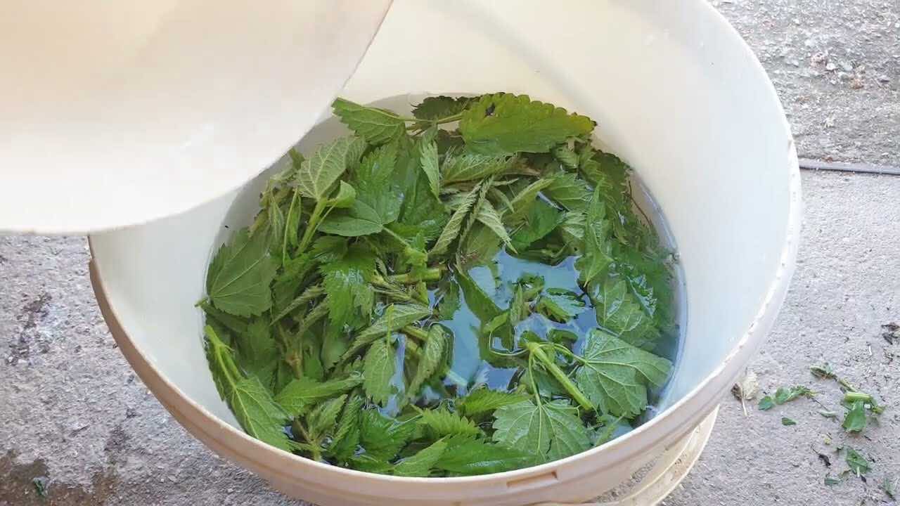 Fertilizante e insecticida Fertilizante e insecticida