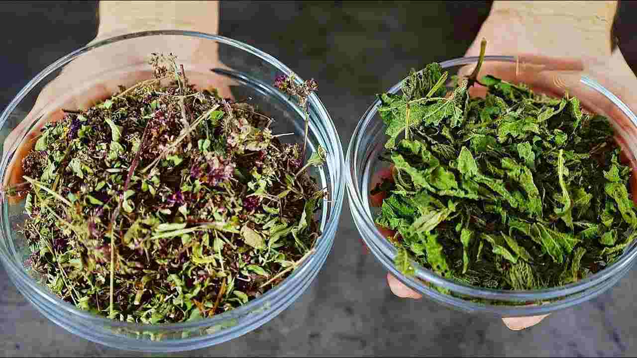 Ingredientes en tazones