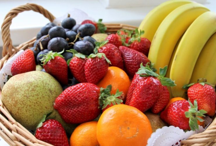 mosquitos de la fruta
