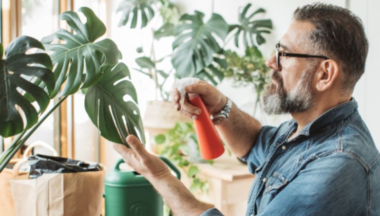 pesticida natural pesticida natural