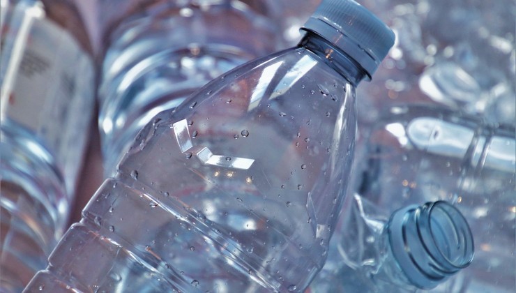 Botella para mini invernadero