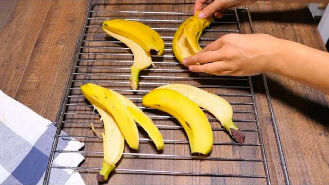 cáscaras en el horno