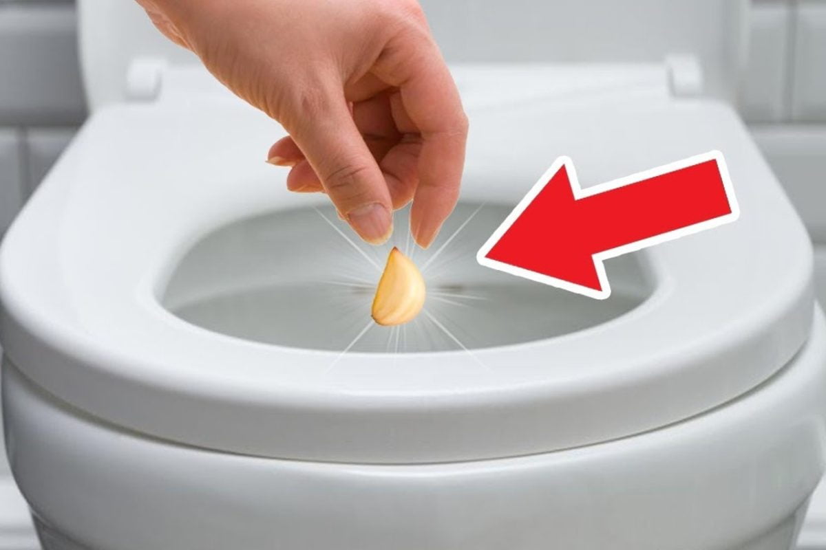 echar un diente de ajo ajo wc 1 echar un diente de ajo ajo wc 1