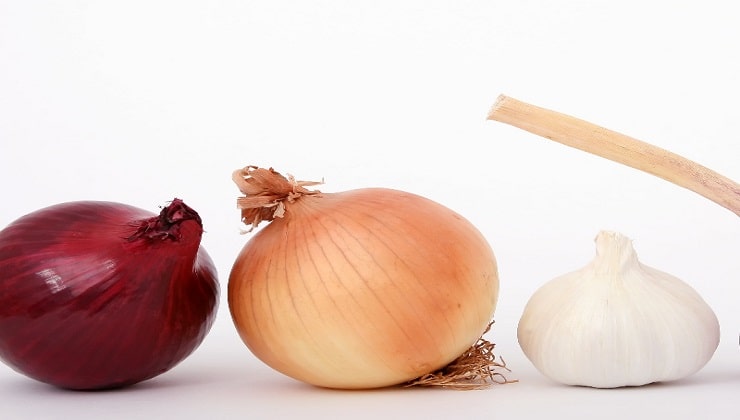 Cómo cultivar cebollas y ajos.