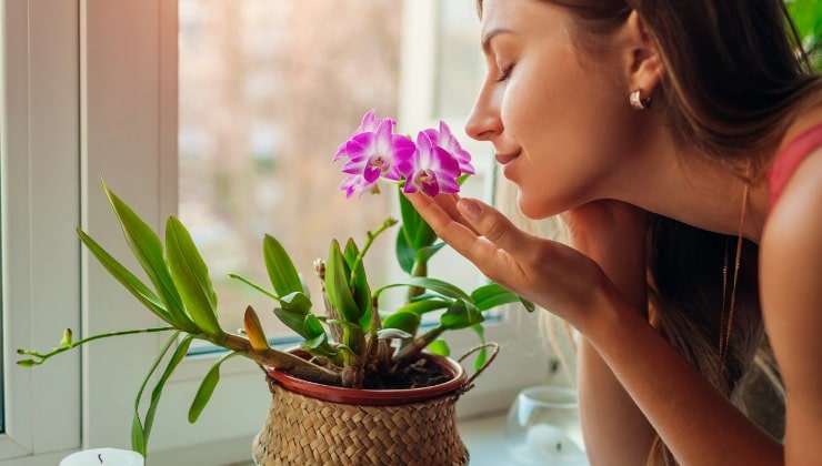 Mujer oliendo orquídeas