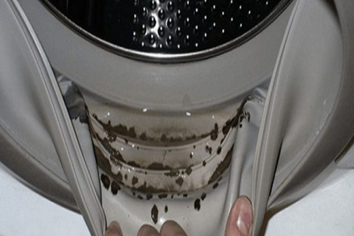 Elimina el moho y el mal olor del sello de tu lavadora
