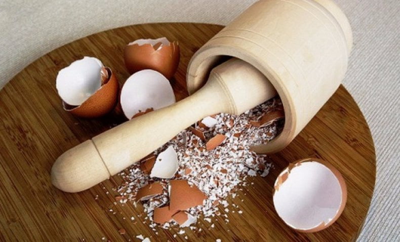 remojar las cáscaras de huevo en agua cáscaras de huevo molidas