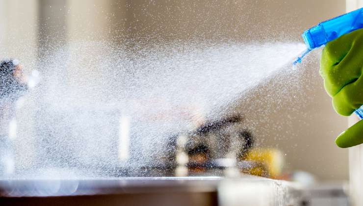 insecticida casero insecticida casero