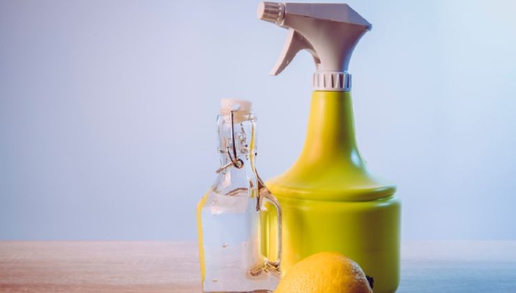 insecticida casero insecticida casero