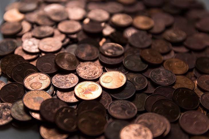Planta una moneda en tus macetas: nadie se espera este gran resultado 2 Monedas de cobre.