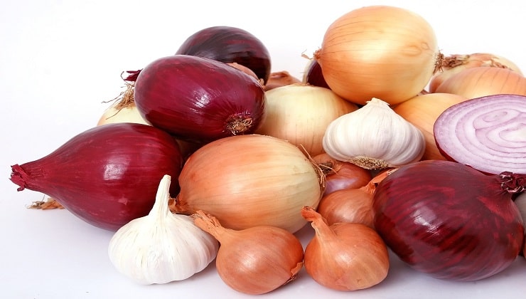 Cebollas blancas, rojas y doradas