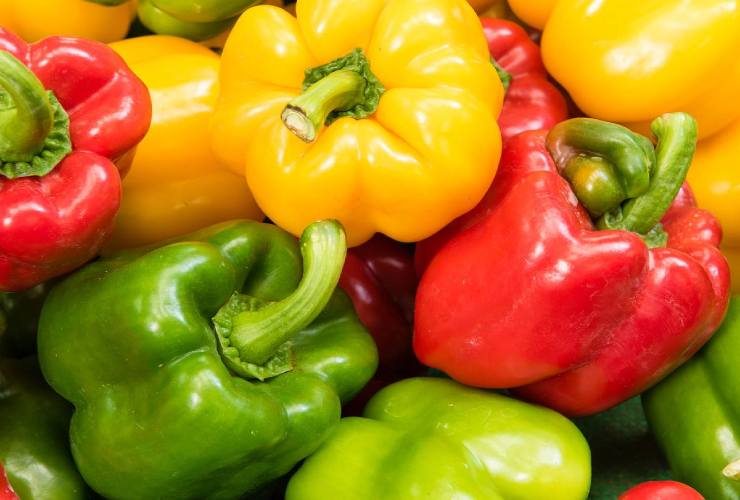 Consejos para tener muchos pimientos Consejos para tener muchos pimientos