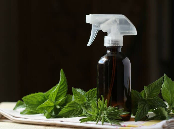 Como hacer un difusor de fragancias casero que dure un mes preparar en 3 minutos 4 Ambientador en spray sabor menta