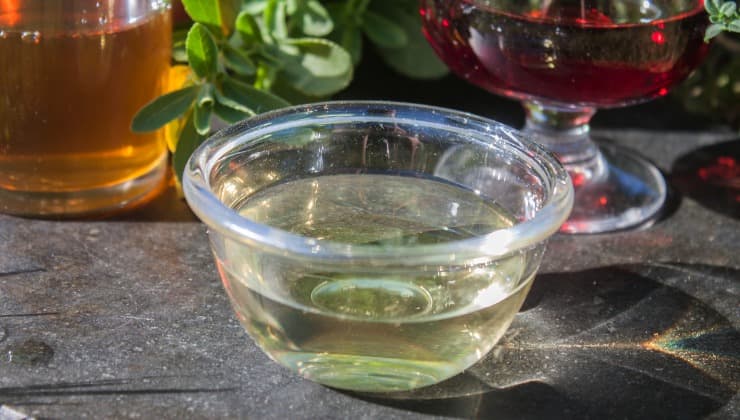 Vinagre de vino blanco contra los mosquitos Vinagre de vino blanco contra los mosquitos