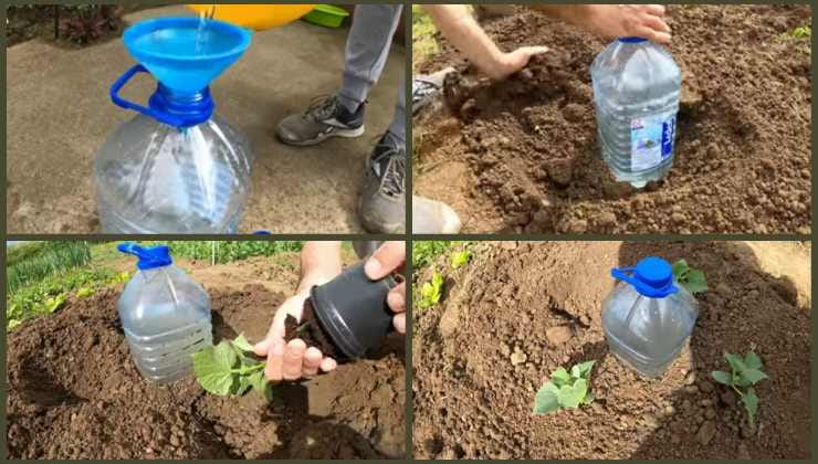 Técnica simple y conveniente para regar las plantas. Técnica simple y conveniente para regar las plantas.
