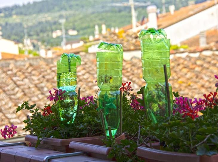 El truco del jardinero para regar tus plantas cuando estás de vacaciones 2 Botellas de plástico para regar las plantas.
