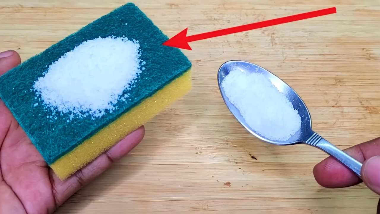 Esponjas para lavar platos