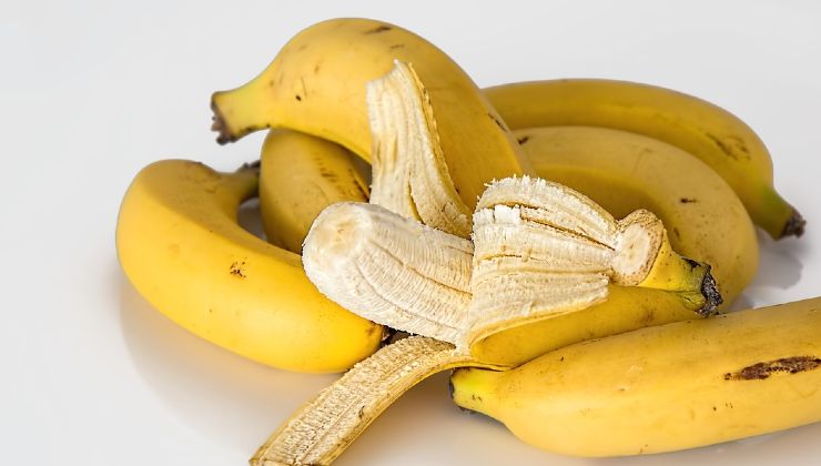 Fertilizante de plátano Fertilizante de plátano