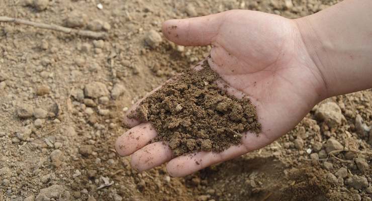Il terriccio per le piante El suelo para las plantas.