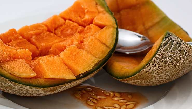 Ingrediente de cáscara de melón Ingrediente de cáscara de melón