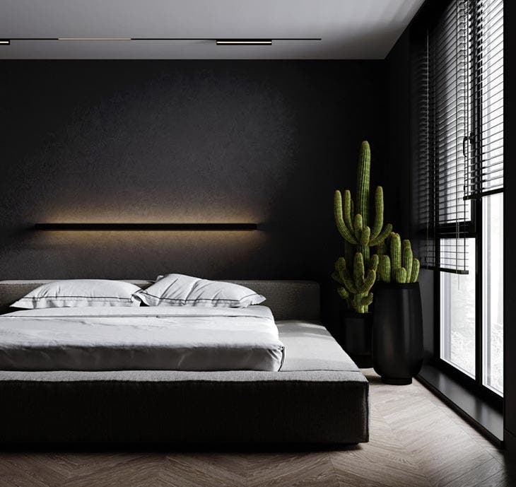 ¿Por qué es imprescindible tener una planta en el dormitorio? El secreto que pocas personas conocen 5 Habitación con cactus