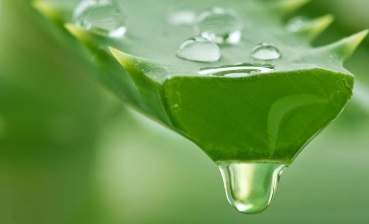 gel de aloe vera gel de aloe vera